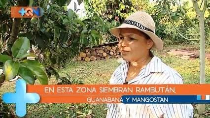Marleny e Isidra nacieron en Buenos Aires de Puntarenas, pero ya tienen más de una década de vivir en Pérez Zeledón, aquí sembraron frutas de otros países que ahora disfrutan junto con la familia. Además ambas son personajes del barrio que nos divertirán con sus ocurrencias.