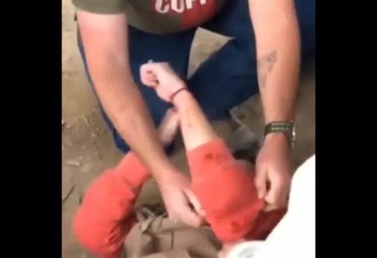 Jaguar atacó a mujer que saltó valla de seguridad para un selfie en zoo de EE.UU.