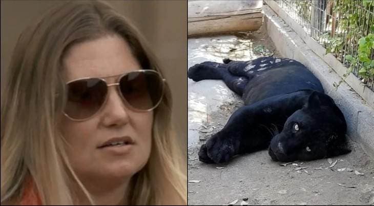 (Foto: CBS/Facebook Wildlife World Zoo)