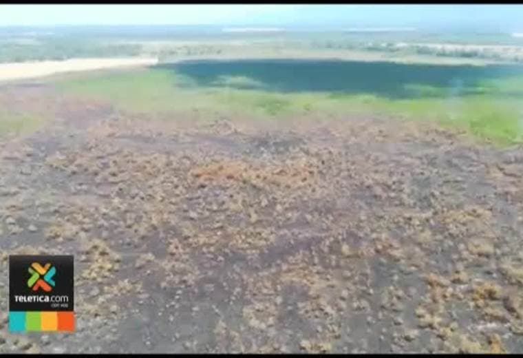 Incendios forestales este año ya supera la cifra registrada en 2017 y 2018