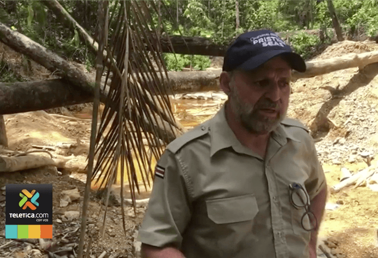 Inspección encontró al menos 50 coligalleros en Crucitas