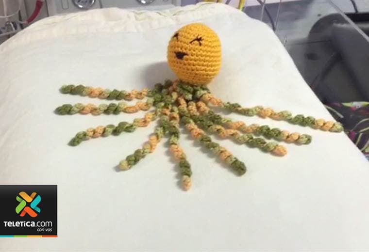 Hospital de San Ramón coloca pulpos de lana para los bebés prematuros en las incubadoras
