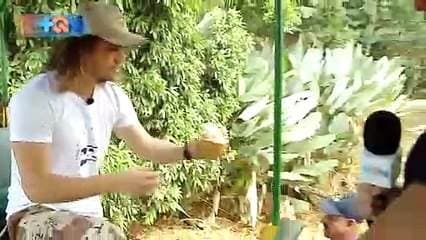 Se imagina usted conocer un lugar que lo lleva a recoger la producción. del del cacao, el membrillo, la caña y refrescarse en una piscina natural en contacto con la naturaleza, todo eso lo puede disfrutar con la familia o amigos en un recorrido en tractor en el conocido lugar de Rio Cuarto que se llama El Bosque.