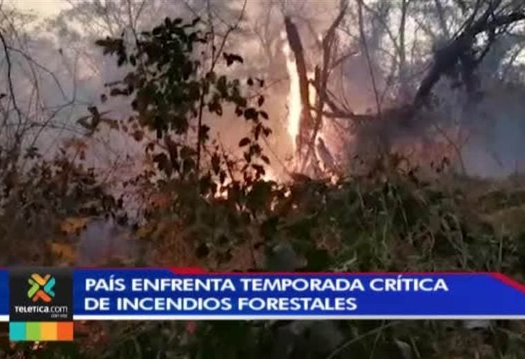 Cuatro áreas protegidas han sido las más afectadas por incendios forestales