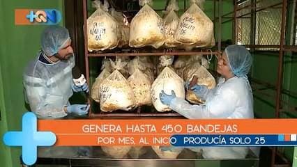 Laura tiene 28 años y los últimos 4 los dedica a una pequeña empresa que se enfoca en la venta de hongos Ostra. Tiene un pequeño taller en la casa donde trabajan los padres y el hermano.     Vive en Río Claro y como meta tiene exportar los productos fuera de nuestras fronteras. Gracias al esfuerzo ha obtenido premios y capital para invertir en el negocio.     ¿Quiere contactarla? Tel: 8414-8261 / 2789-7201