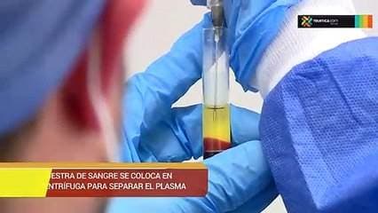 Función de plasma rico en plaquetas