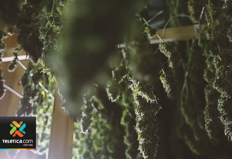 Jóvenes podrían drogarse con galletas, mantequilla o pan