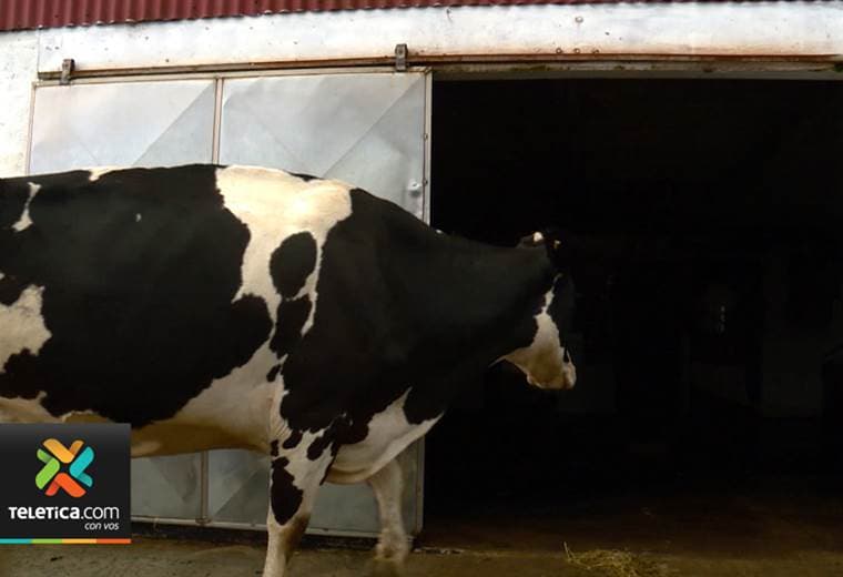 Productores de leche del país podrán conocer las novedades y tendencias de esta industria