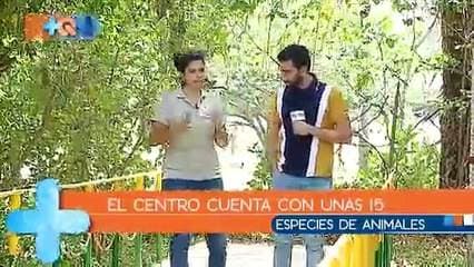 Nos topamos el Centro de Rescate Las Pumas en la entrada del cantón guanacasteco, en  este lugar rescatan animales de la zona que fueron maltratados para posteriormente liberarlos en sitios seguros, pero si ya esto no es posible, los mantienen en el centro donde tanto turistas nacionales como internacionales pueden visitarlos.     Además crearon un pequeño museo para concientizar a la población sobre la manera de abordar estos animales si se encuentran en el bosque o calles del país.     ¿Quiere ir? Tel: 2669-6044     La entrada ronda entre mil y tres mil colones nacionales y 12 dólares extranjeros.     Es un excelente lugar para disfrutar en familia y se ubica a unas tres horas de la capital.