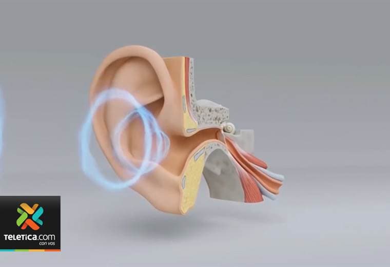 Colegio de Terapeutas se opone a la reducción de 45 a 1 los lugares donde los retiran sus recetas
