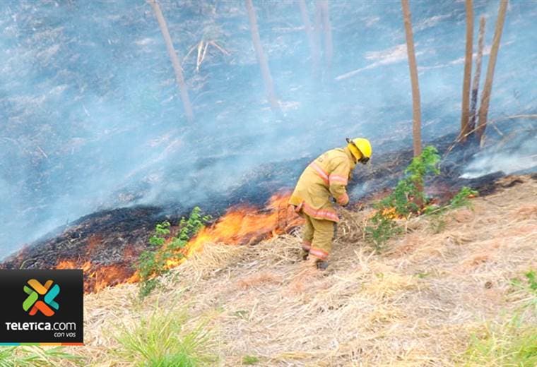 12.000 quemas de charral se han reportados de enero a la fecha
