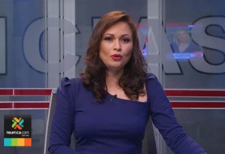 Próximo domingo se realizará una feria de adopción de gatos en Terramall