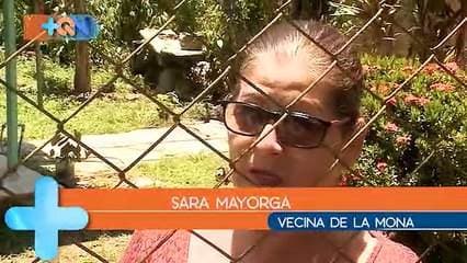 Resulta que durante el siglo pasado en una pequeña comunidad de Golfito, Puntarenas, aparecía todos los días la mona. Algunos vecinos aseguran que todavía la ven, tanto ha sido la influencia de esta leyenda aquí que el pueblo tiene ese nombre.     Hay más de una versión, pero todas llegan al mismo final. ¿Cuál cree usted que sea la verdadera?