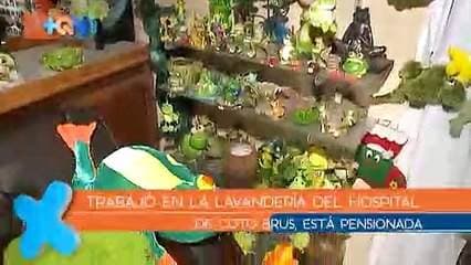En el centro de San Vito de Coto Brus una señora tiene la vivienda llena de sapos.  Comenzó a coleccionarlos hace más de 10 años y ahora no concibe la vida sin ellos.  Entrar a este hogar es todo un espectáculo, tanto por la anfitriona como por los pequeños amigos.