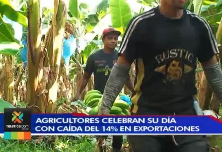 Cámara de Exportadores señala que ventas externas de productos cayeron 14% en primer trimestre 2019.