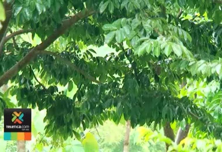 Instituto Meteorológico pronostica fuertes aguaceros para este sábado