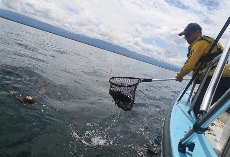 Recolección de 500 kilos de basura