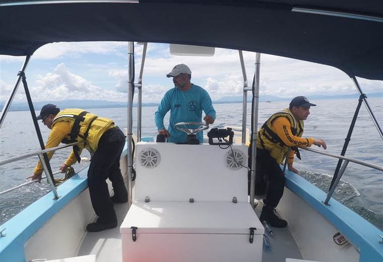 Recolección de 500 kilos de basura