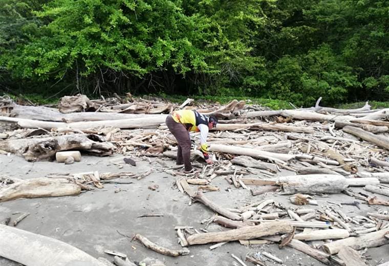 Recolección de 500 kilos de basura