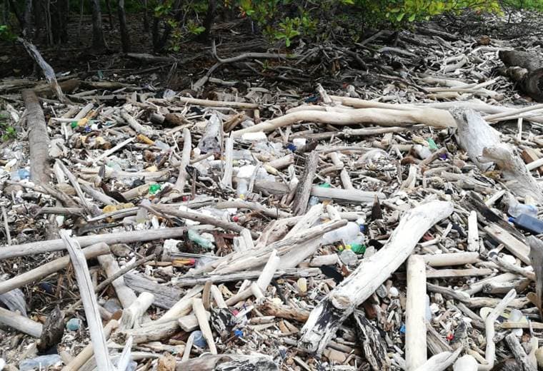 Recolección de 500 kilos de basura