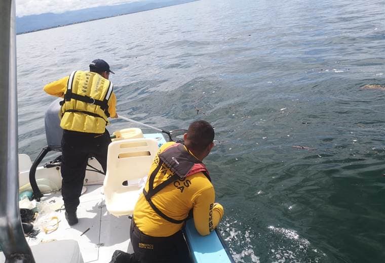 Recolección de 500 kilos de basura