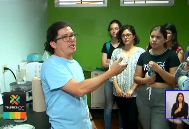 UCR promueve la creación de alimentos a base de insectos como grillos, avispas y larvas