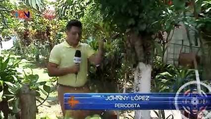 El Guarco y las tejas, una tradición que se niega a desaparecer