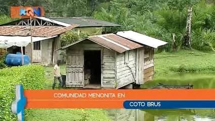 Los Menonitas luchan día con día para seguir apegándose a sus tradiciones en un mundo cada vez más tecnológico. ¿Cómo es su vida?