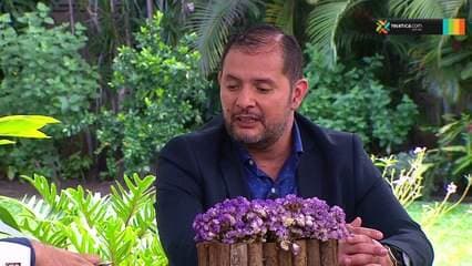 Formación de nódulos en las manos