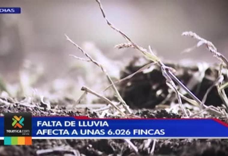 Fundación tiene disponibles créditos para pequeños y microempresarios del sector ganadero