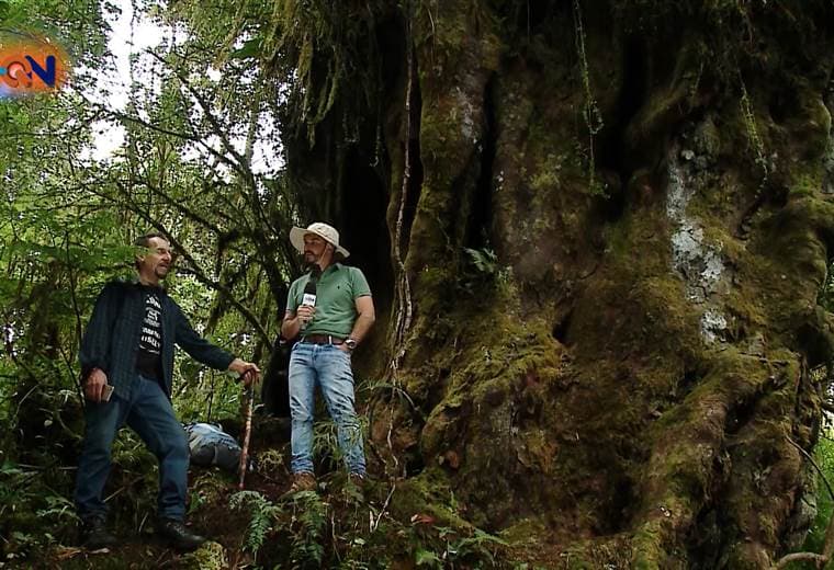 La travesía de Ernesto por el Guarco: un árbol de 2000 años!