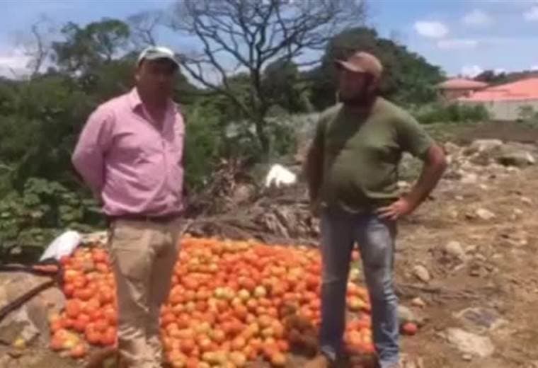 Corporación Hortícola Nacional