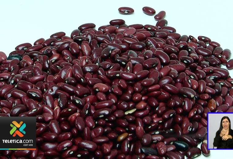Costarricenses comen un 50% menos de frijoles que hace 20 años, según estudio de la UCR