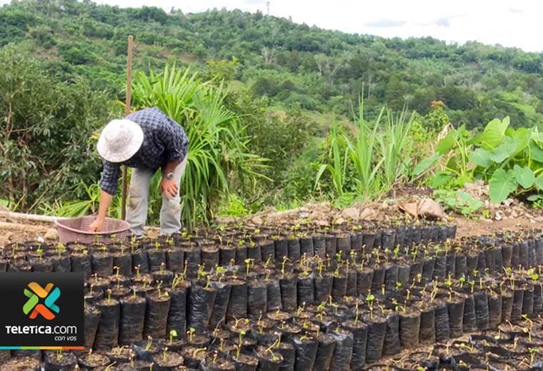 Costa Rica será la sede de la conferencia regional de cooperativas