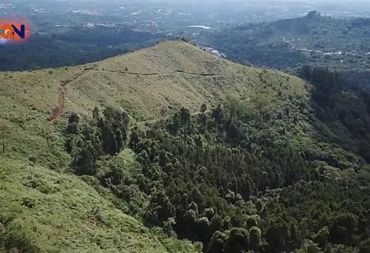 Los 7 del 7 en Naranjo