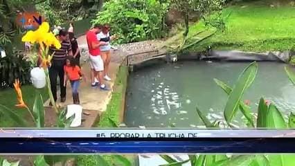 Los 7 del 7 en Naranjo