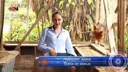 Producción de huevos