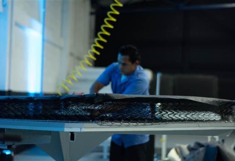 Foto Glass Elephant y The Bot Shop Trilce Jirón