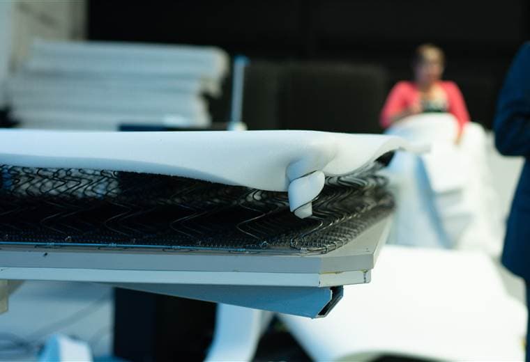 Foto Glass Elephant y The Bot Shop Trilce Jirón