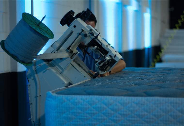 Foto Glass Elephant y The Bot Shop Trilce Jirón