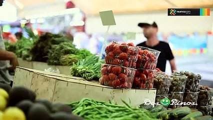 La fibra ayuda a una mayor sensación de saciedad