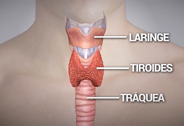 Tiroiditis causas y tratamientos