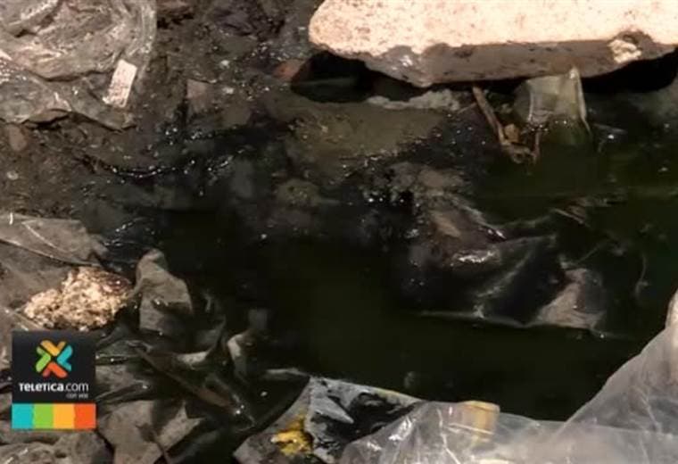 Basura en ríos y alcantarillados provoca inundaciones y además es el principal criadero de mosquitos
