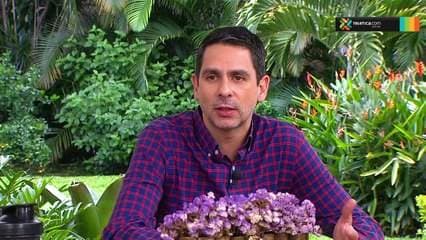 Conozca los síntomas de una infección de parásitos