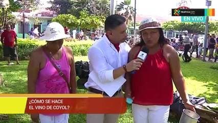 ¿Cómo se hace el vino de coyol?