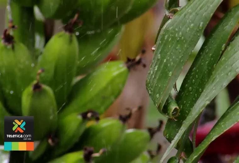 Nubosidad y lluvias recurrentes se mantendrán los próximos días