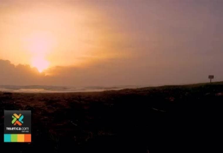 Reserva Pacuare es el proyecto de conservación de tortuga baula más importante del país