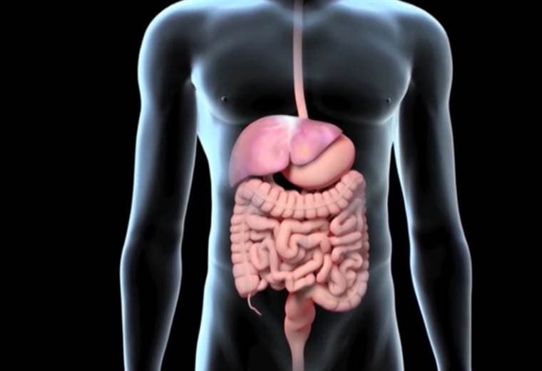 Hepatitis A principales causas y tratamientos