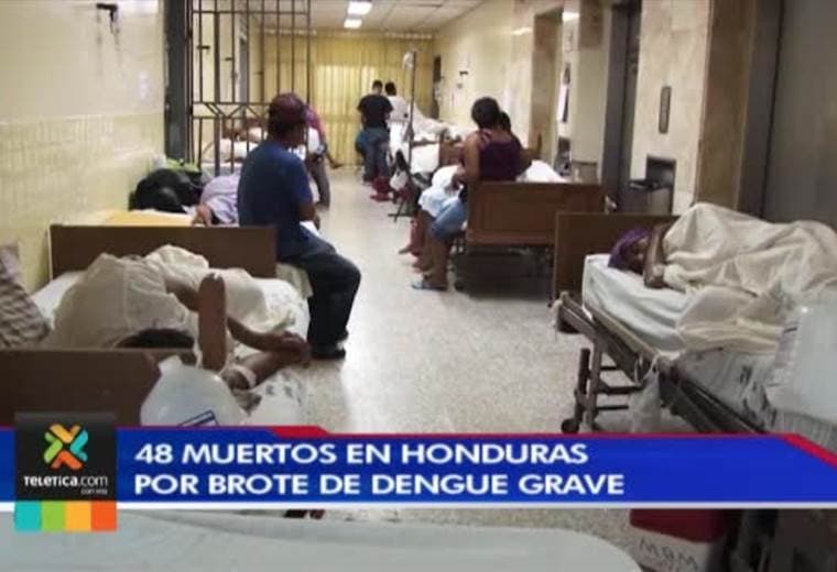 Ministerio de Salud pide reforzar la eliminación de criaderos de mosquitos para prevenir el dengue