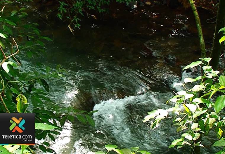 Este domingo será la primera marcha nacional a favor del ambiente en Costa Rica